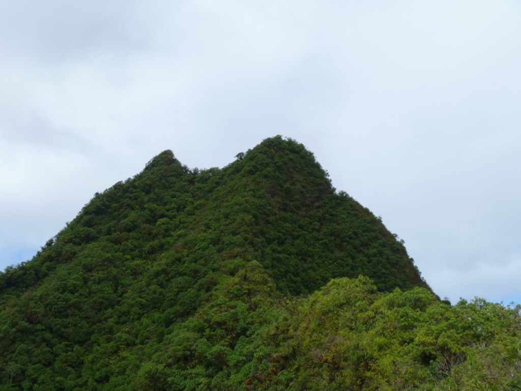 Te Manga Summit