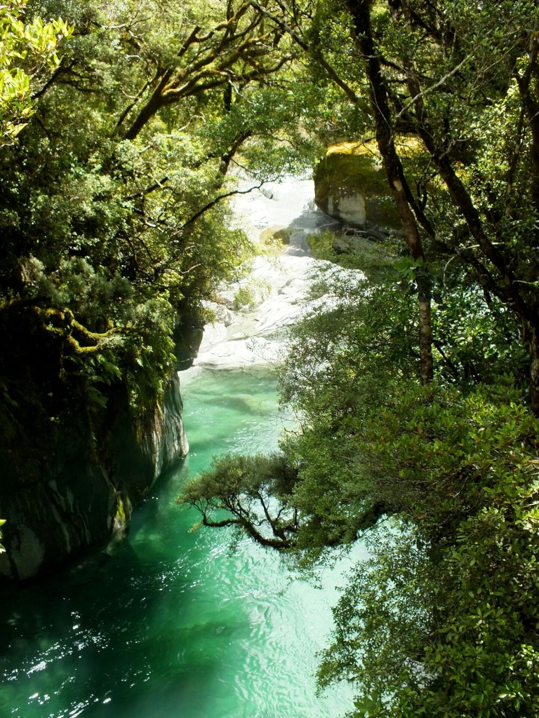 Toaroha River