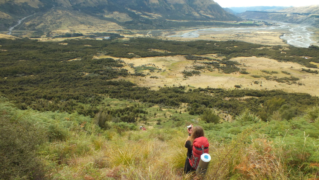 Heading up through the bracken fields