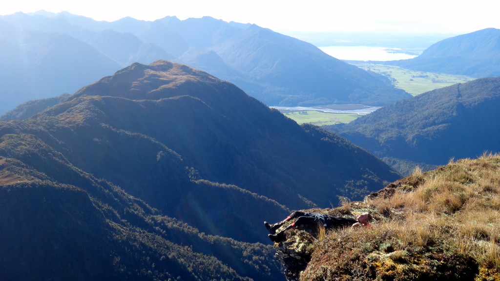 Quick nap on the tops